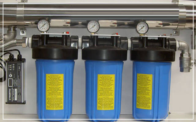 uv-plant-img1